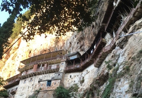 ORINI ARCADIA